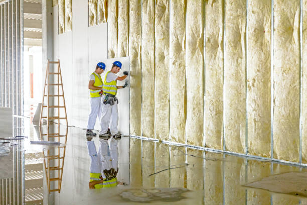 Trusted San Clemente, CA Foam Insulation Services Experts